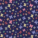 Rainbow Vale